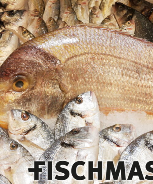 Fischmaster-juergen-langbein-fischfond-2