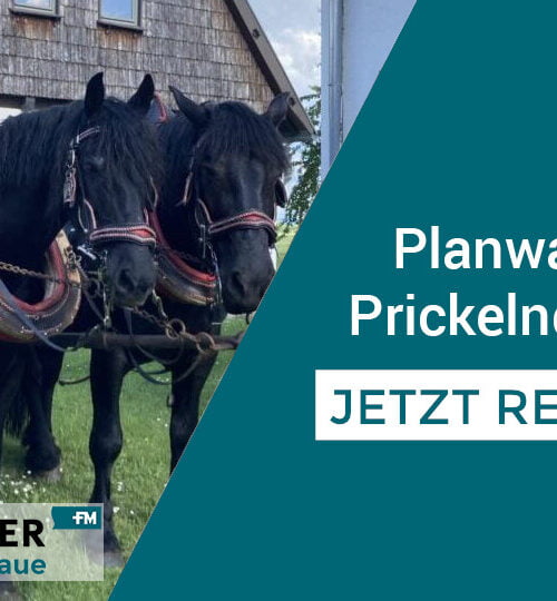 Fischmaster Planwagen-Tour 24.08.2024