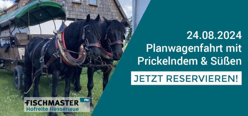 Fischmaster Planwagen-Tour 24.08.2024