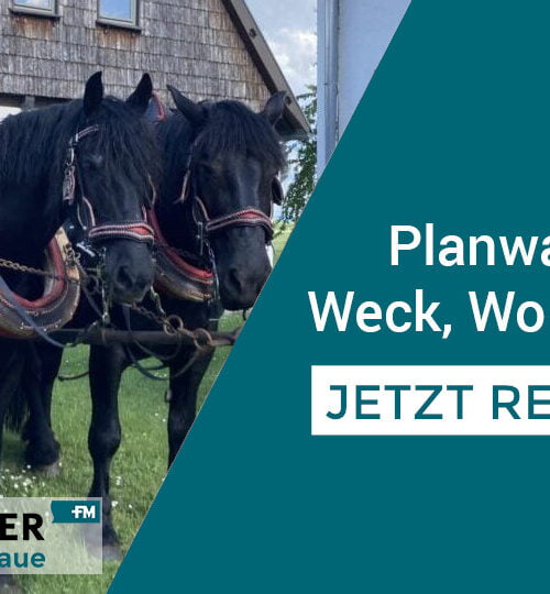 Fischmaster Planwagen-Tour 27.07.2024