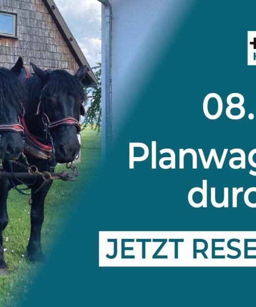Fischmaster_Veranstaltung_Planwagenfahrt durchs Ried-Sommer_25-06-08-03