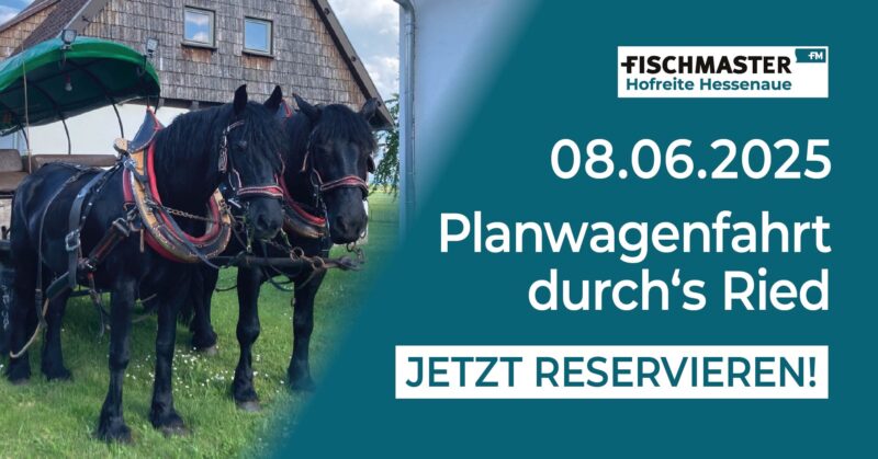 Fischmaster_Veranstaltung_Planwagenfahrt durchs Ried-Sommer_25-06-08-03