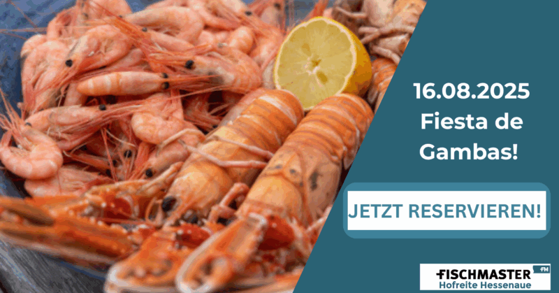 Fiesta de Gambas Fischmaster 16.08.2025 - quer