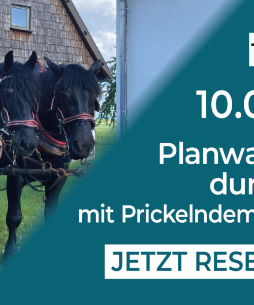 Planwagenfahrt durch's Ried mit Prickelndem und Süßen 10.08.2025 [Digital]