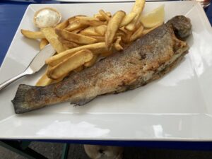 Hofreite Hessenaue Fischmaster gebratene Forelle mit Pommes