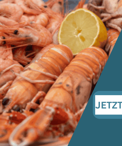 Fiesta de Gambas Fischmaster 20.06.2026