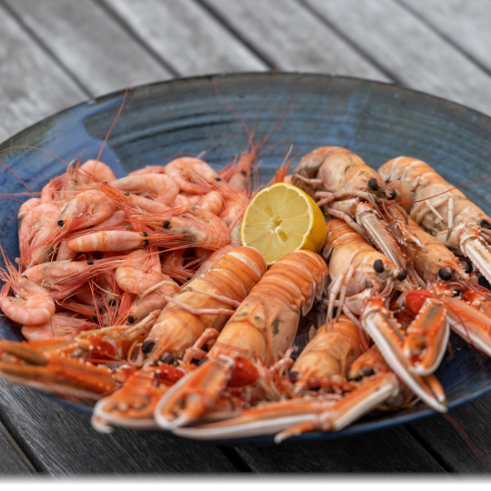 Fischmaster-Fiesta-de-Gambas- auf der Hofreite Hessenaue